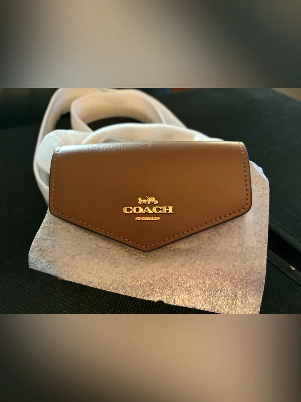 Coach Brown Leather Envelope Wallet / Bag  with Gold Logo NWT